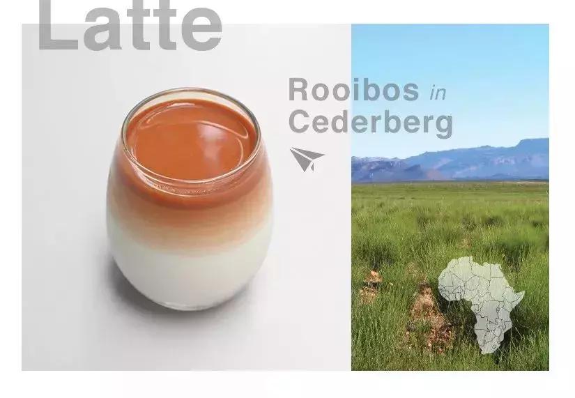 周冬雨的咖啡馆,周冬雨咖啡馆