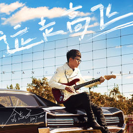 抖音最火歌曲2018中文完整,2018抖音最火歌曲50首完整版