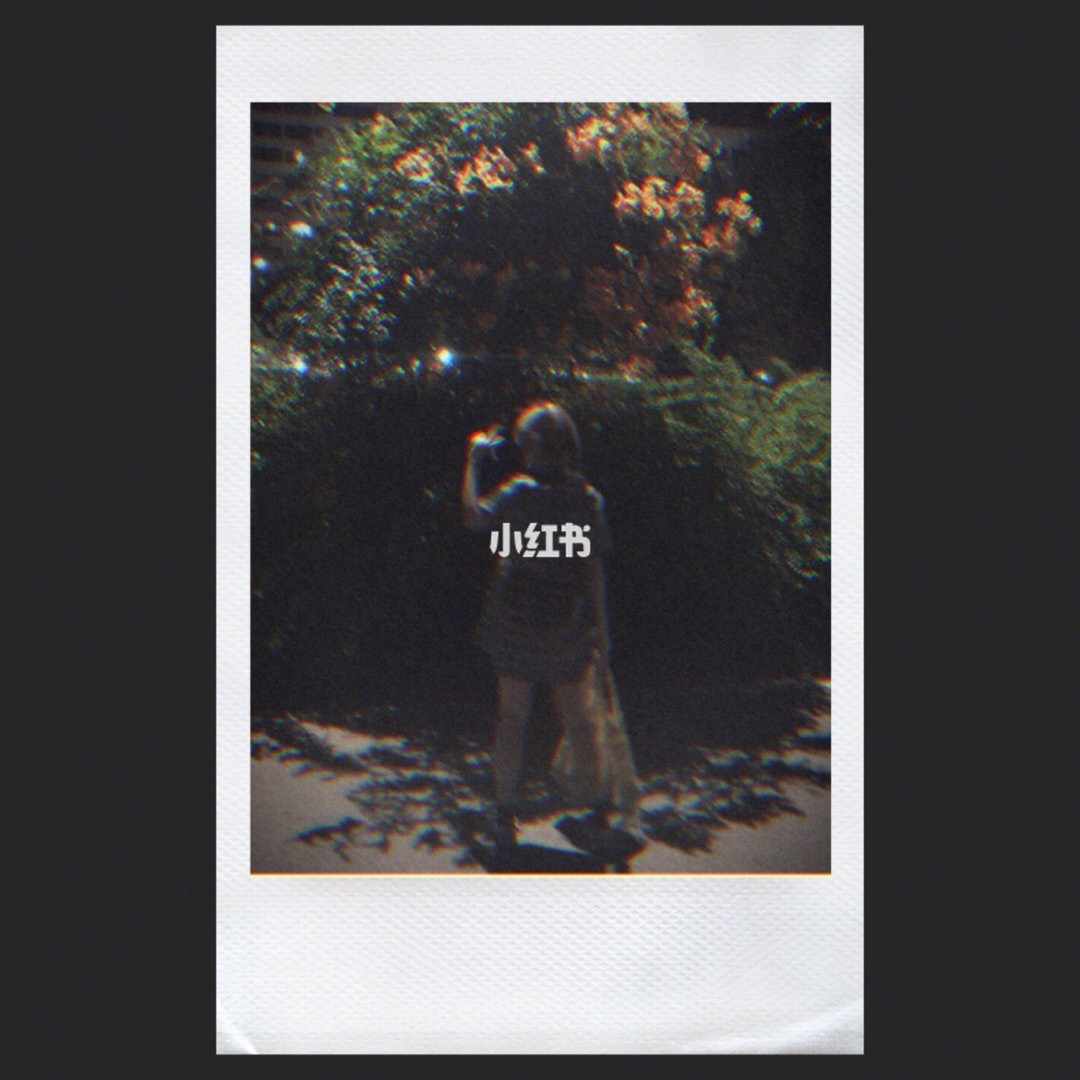 韩国女生用的粉色滤镜软件,韩国滤镜软件