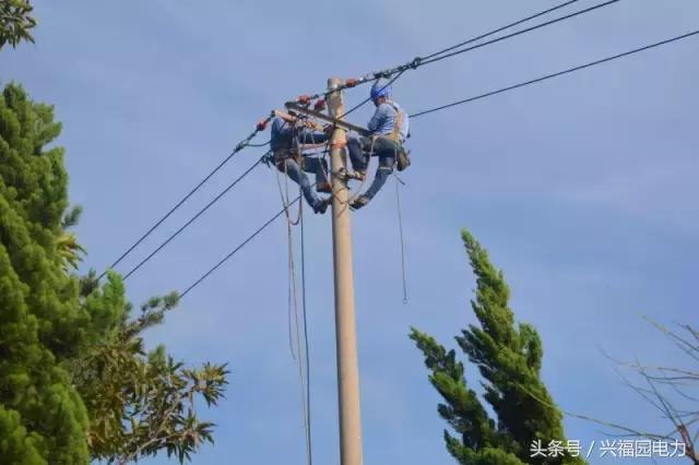 电网爬电线杆,爬电线杆