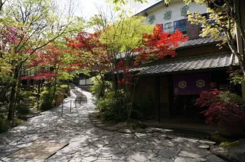 日本汤屋温泉推荐,日本九州汤平温泉