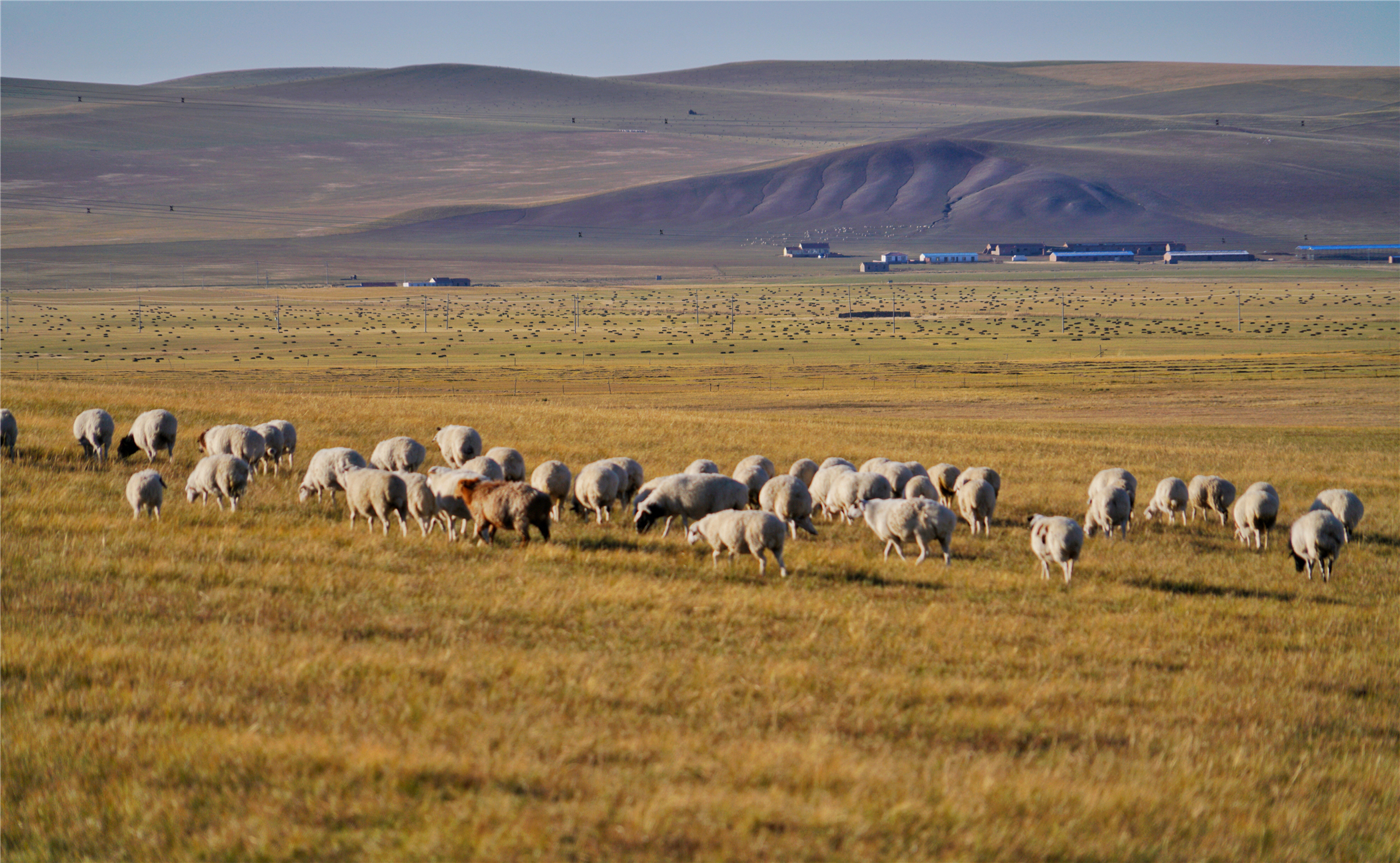 锡林郭勒大草原冬天旅游攻略,锡林郭勒大草原旅游攻略全部