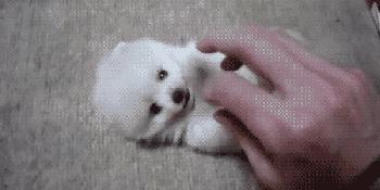 伤口创面科普,科普伤口