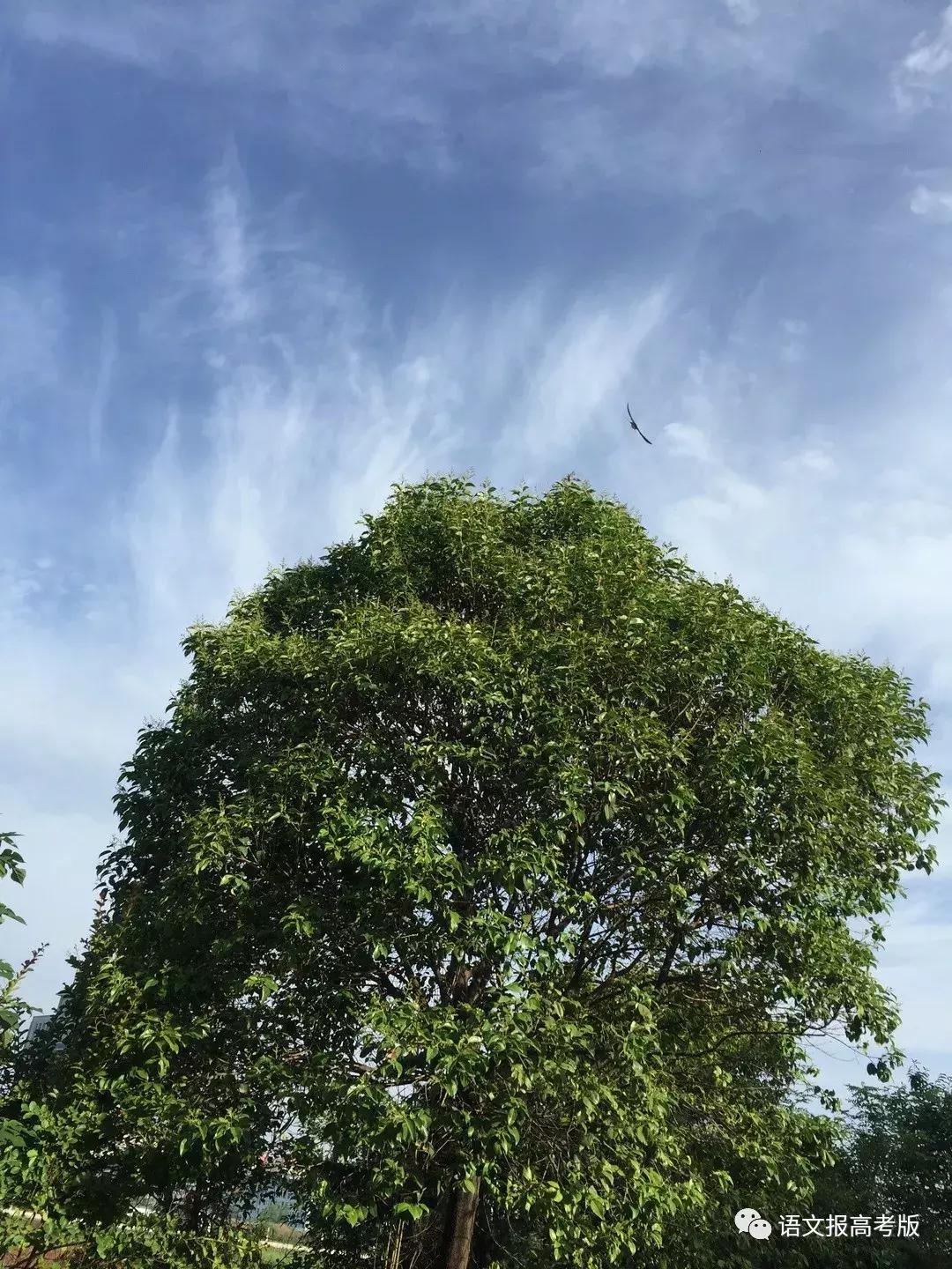 北风那个吹解说合集,北风那个吹雪花那个飘