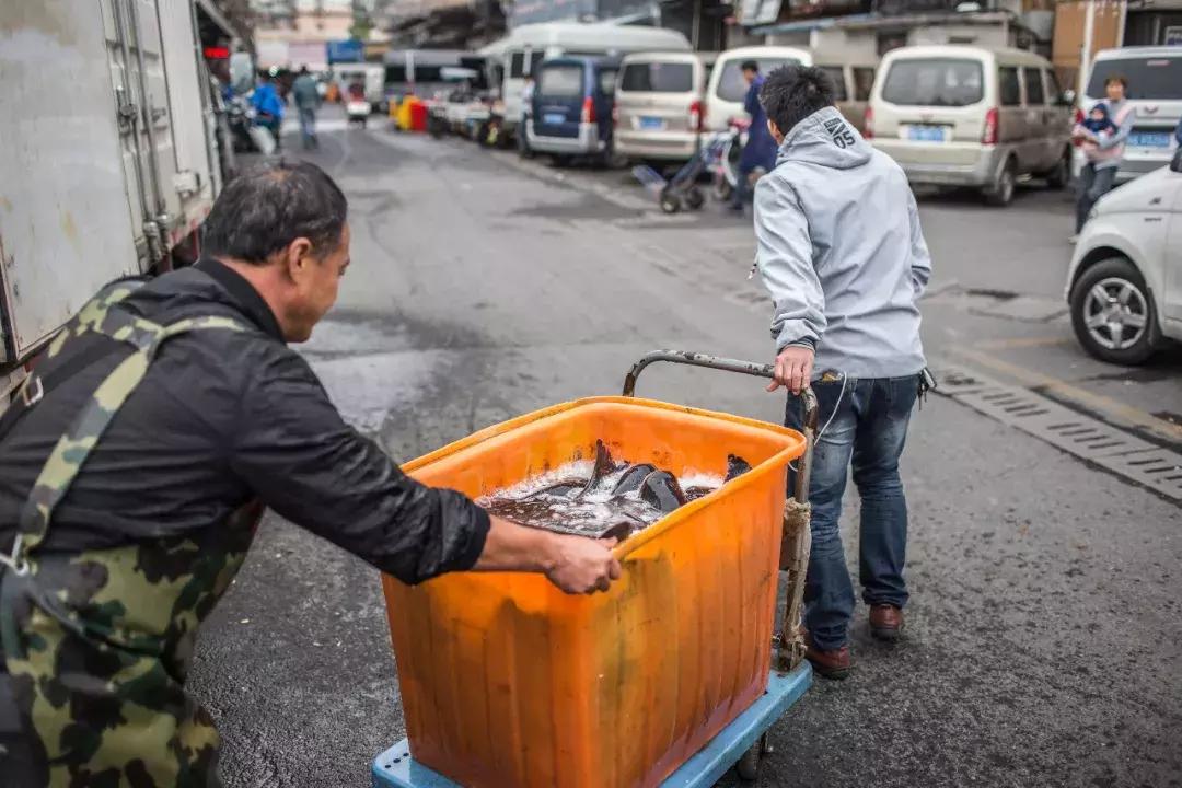 近江海鲜市场居民拆迁,近江海鲜城搬迁