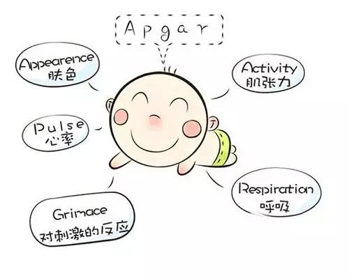 乳腺超声检查阳性是什么意思,两个超声软指标异常怎么办