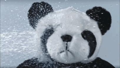 托福考试流程及注意事项有哪些,考托福应该准备什么备考资料