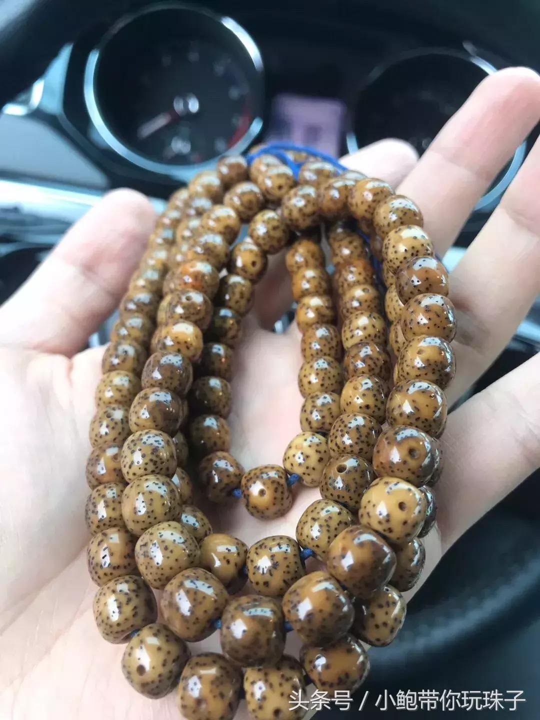 阴皮星月为什么不建议买,阴皮星月菩提值得盘吗