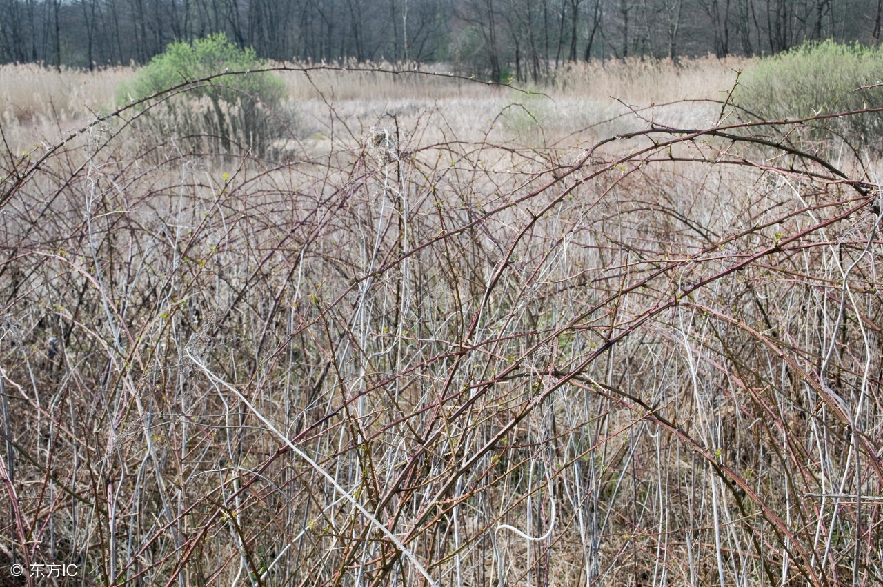 努力：Lifewillnevermaltreateverypersonwhoworkshard.