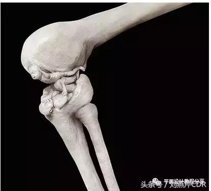 cdr广告招牌排版技巧,cdr广告穿孔字设计教程