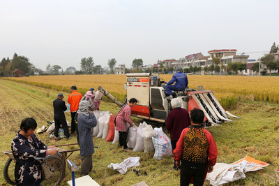 农村过年去旅游好吗,农民节日出去旅游