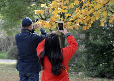 农村过年去旅游好吗,农民节日出去旅游
