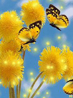 10张会动的照片,11张会动的图片