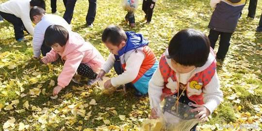 上海幼托中心哪家好,上海私立幼儿园排名