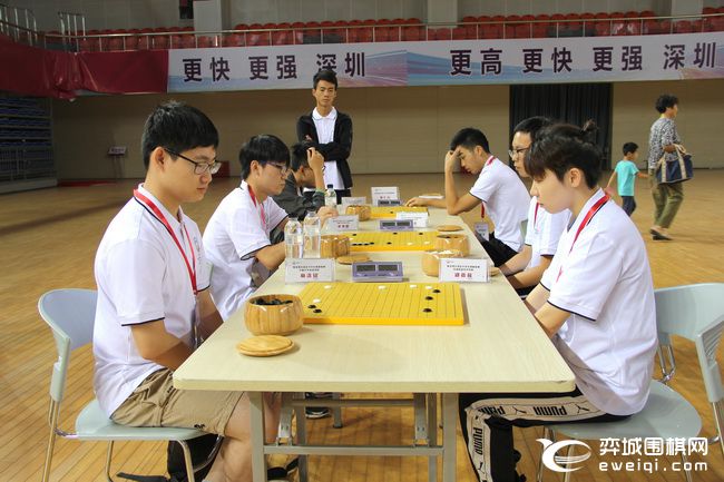 粤港澳大湾区大学生围棋联赛开幕聂卫平常昊等助阵