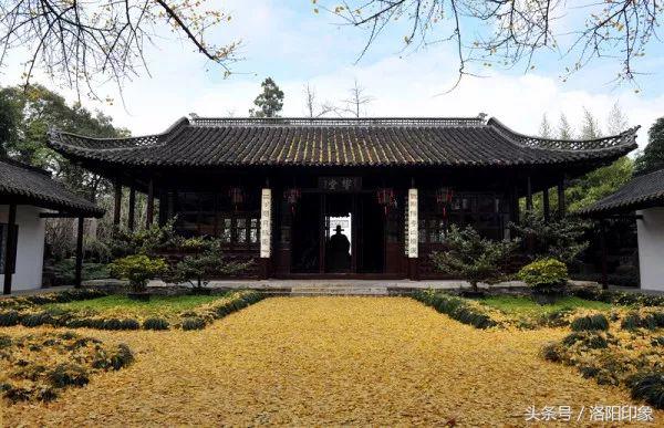 洛阳机场客流,2019年洛阳机场客流