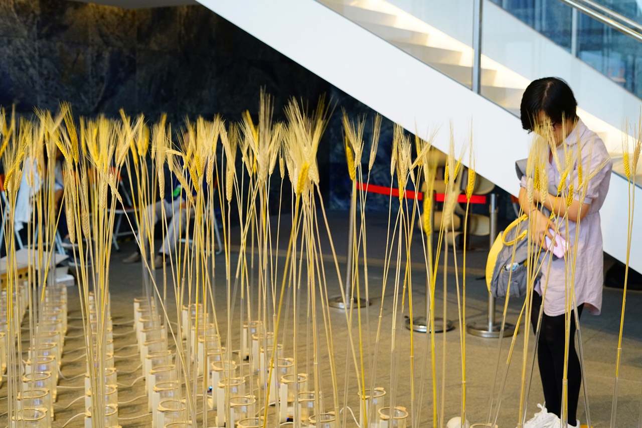 双创交流展中国文创,2017双创周深圳国际创客周