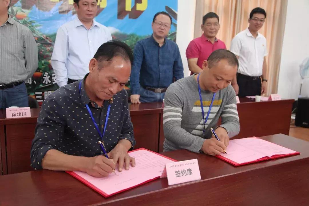 这一口甜蜜，让几百个三明人恋爱了