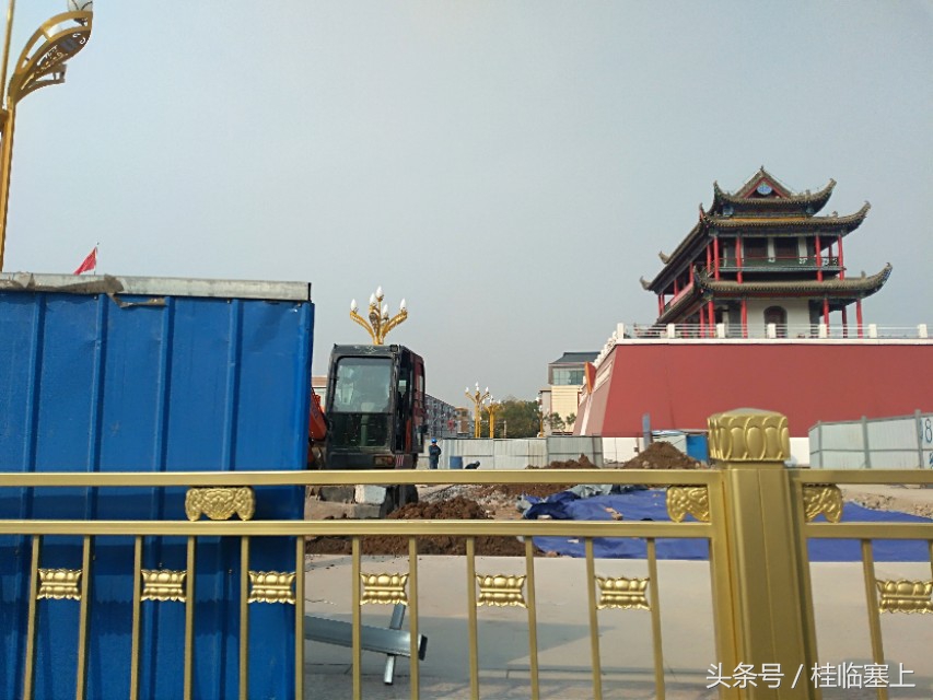 银川人民广场西门口,银川人民广场梧桐树