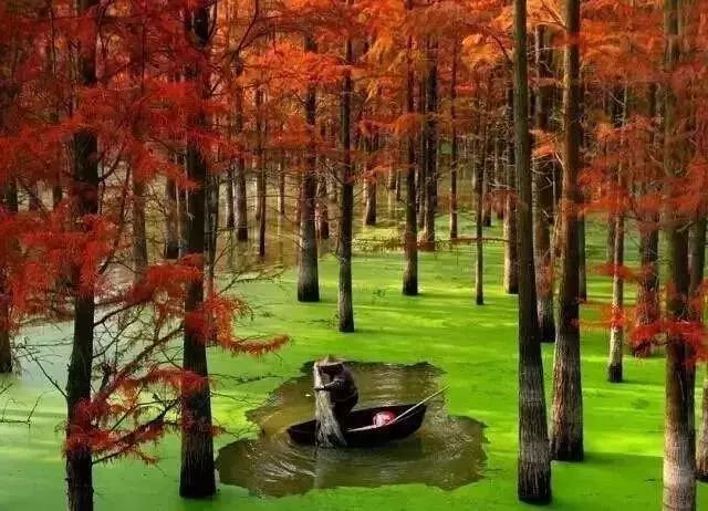 不要去杭州,杭州西湖值得去的地方