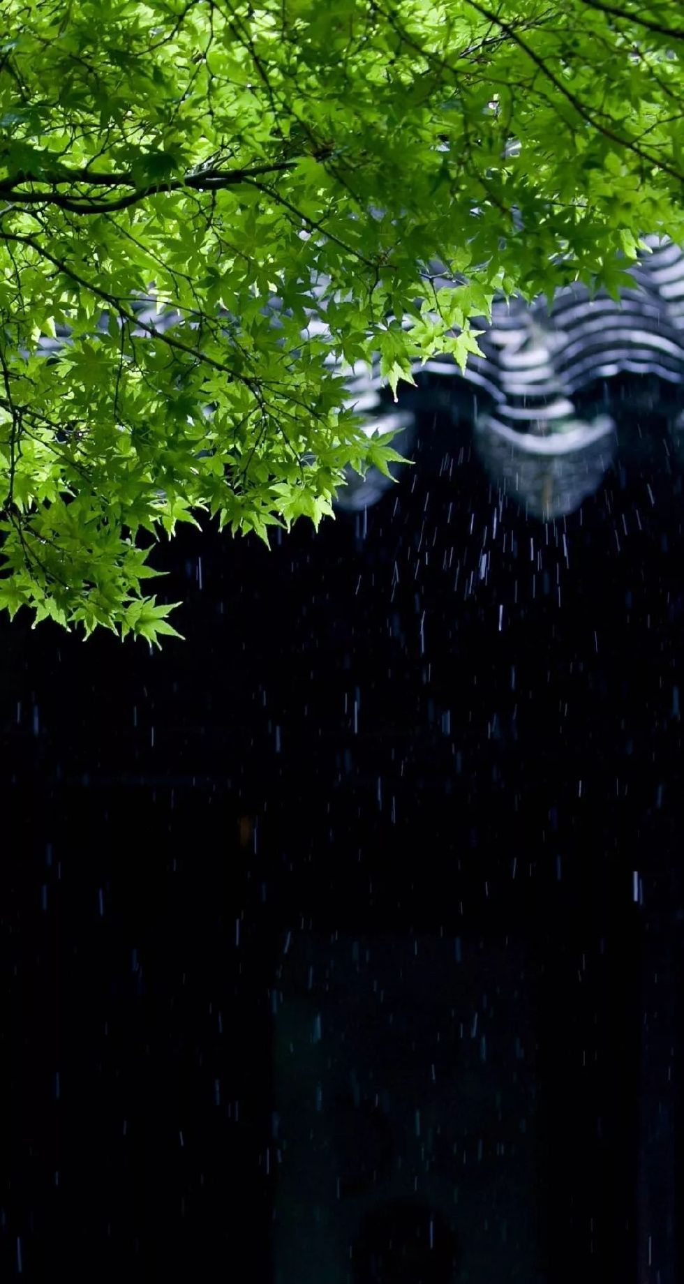 古有“九雅”，忘忧释怀丨私享·仿古