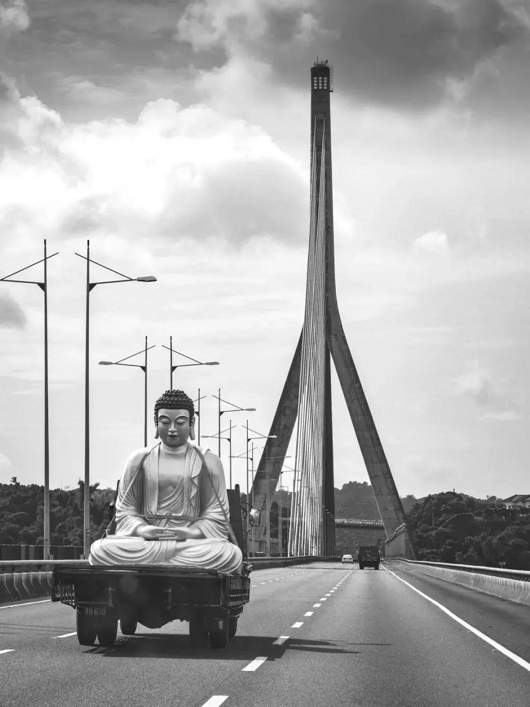 申奥片推荐,各国申奥影片产生