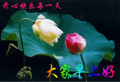 当第一曲铃声悠然响起,那是我的祝福早早来到,愿你拥有一天好心情