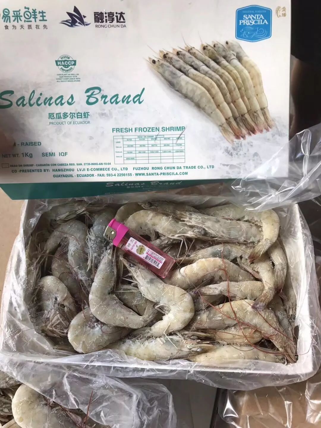 预告｜易采鲜生即将亮相青岛渔博会，招募全国运营商！