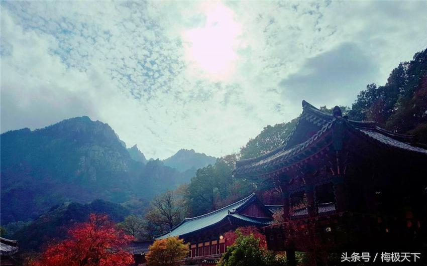 中国游客在韩国开启爆买模式，在机场被罚3万，网友却拍手称赞