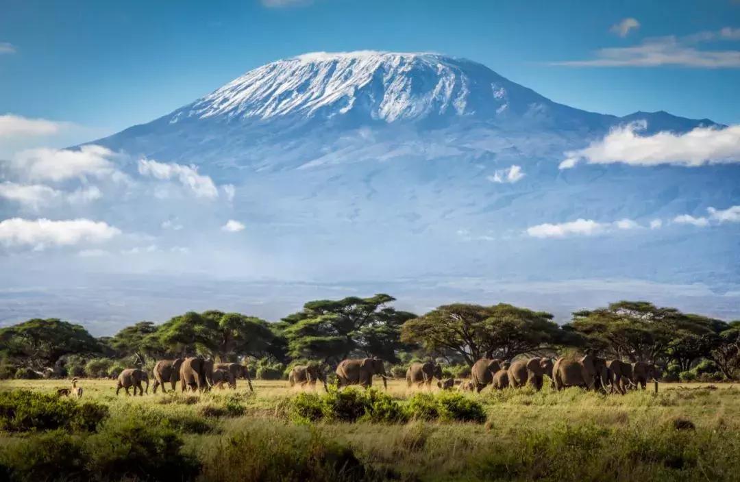 支付宝锦鲤信小呆清单有多少实物,信小呆免费旅行清单