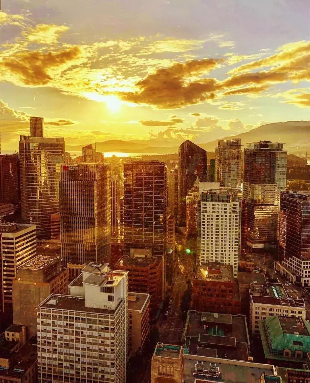 支付宝锦鲤信小呆清单有多少实物,信小呆免费旅行清单