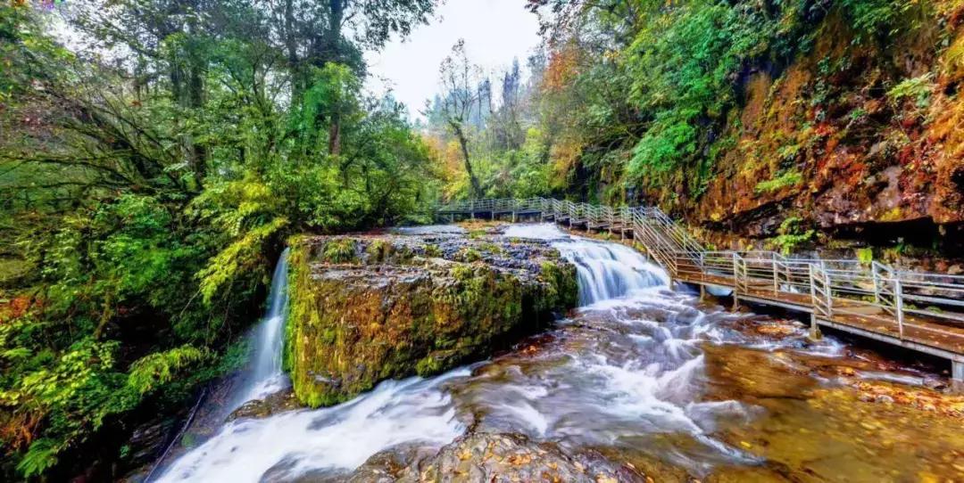成都出发哪条线路秋景最美,成都出发两小时看满山红叶
