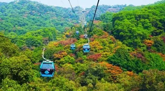 重阳节去登高最佳方案,广州重阳登高最佳地点查询