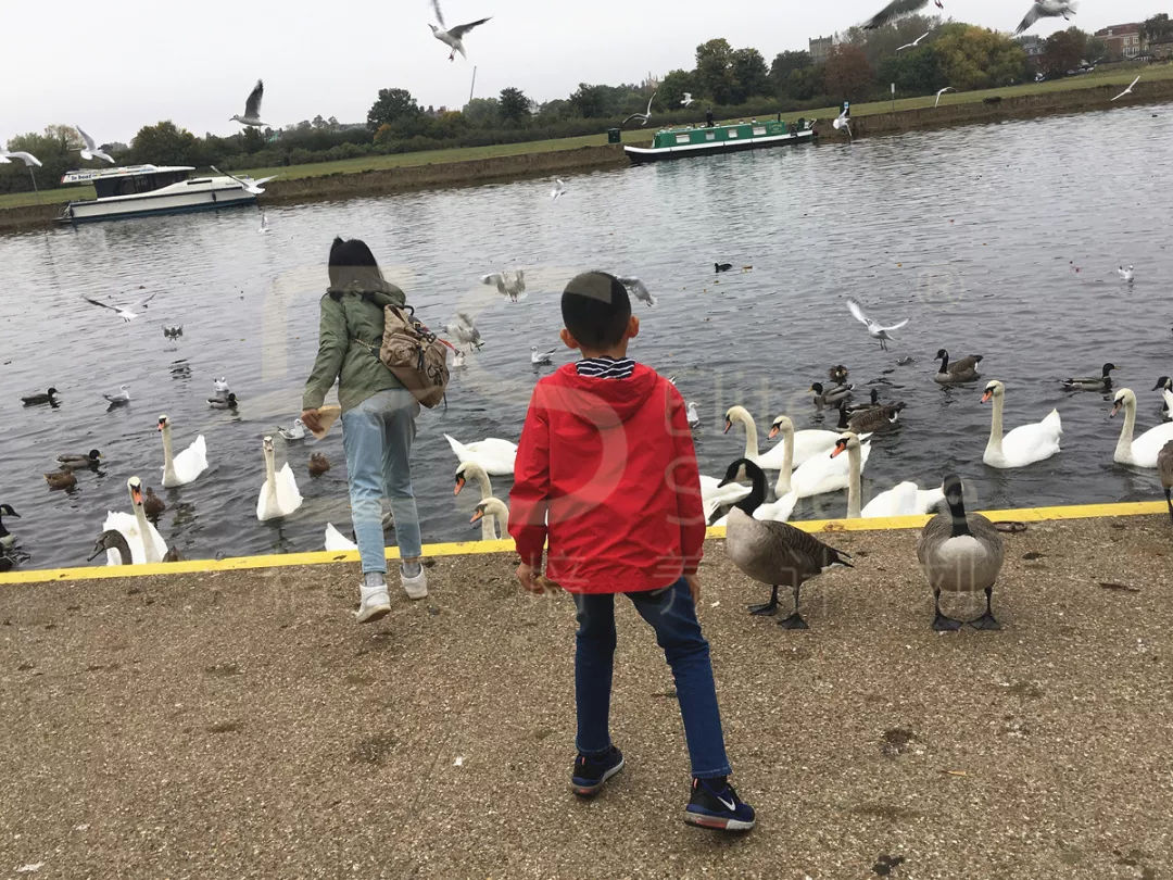 英国哈罗公学探校,伊顿公学英国