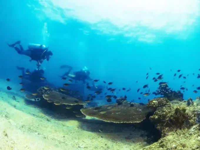 蜈支洲岛一日游攻略详细介绍,蜈支洲岛怎么玩超详细攻略