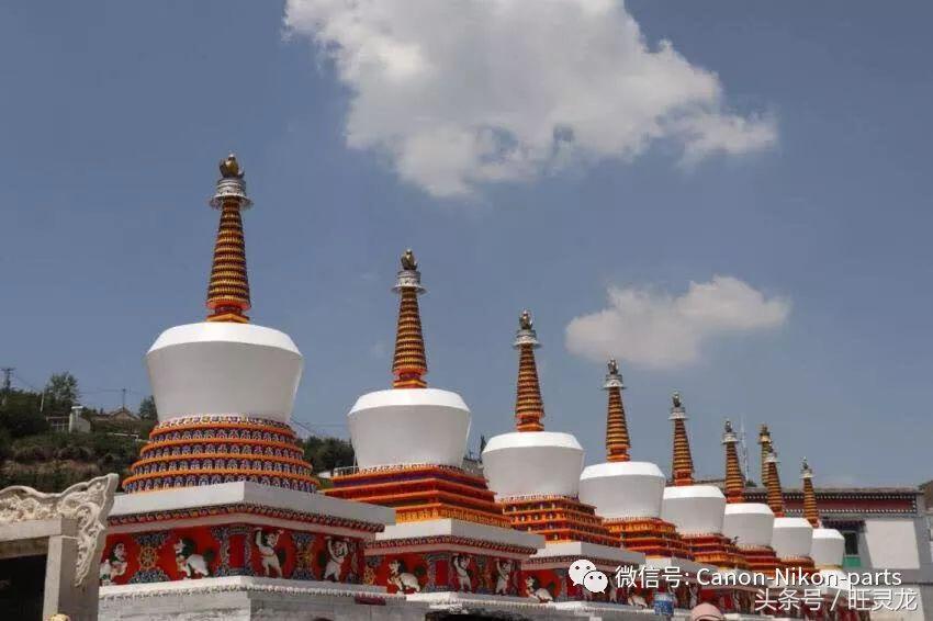 相机初学者推荐佳能800d,佳能800d评测拍视频