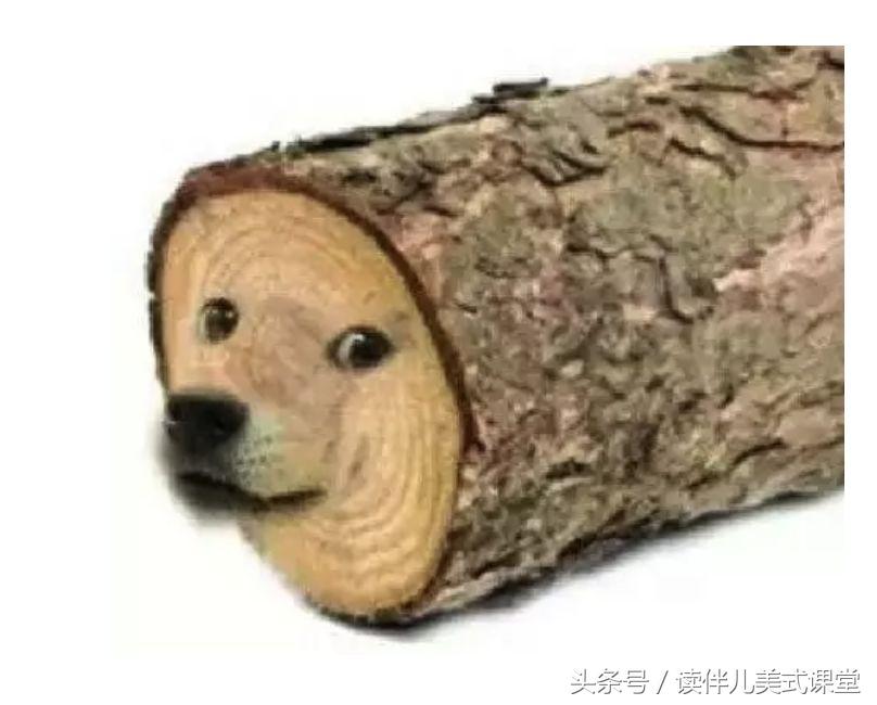 牛津大学面试历史题,牛津大学面试问题视频