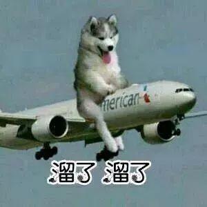 身边的朋友叫你买保险,找你买保险什么梗