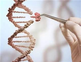 霍金丧失了什么能力,霍金去世前对人类的忠告