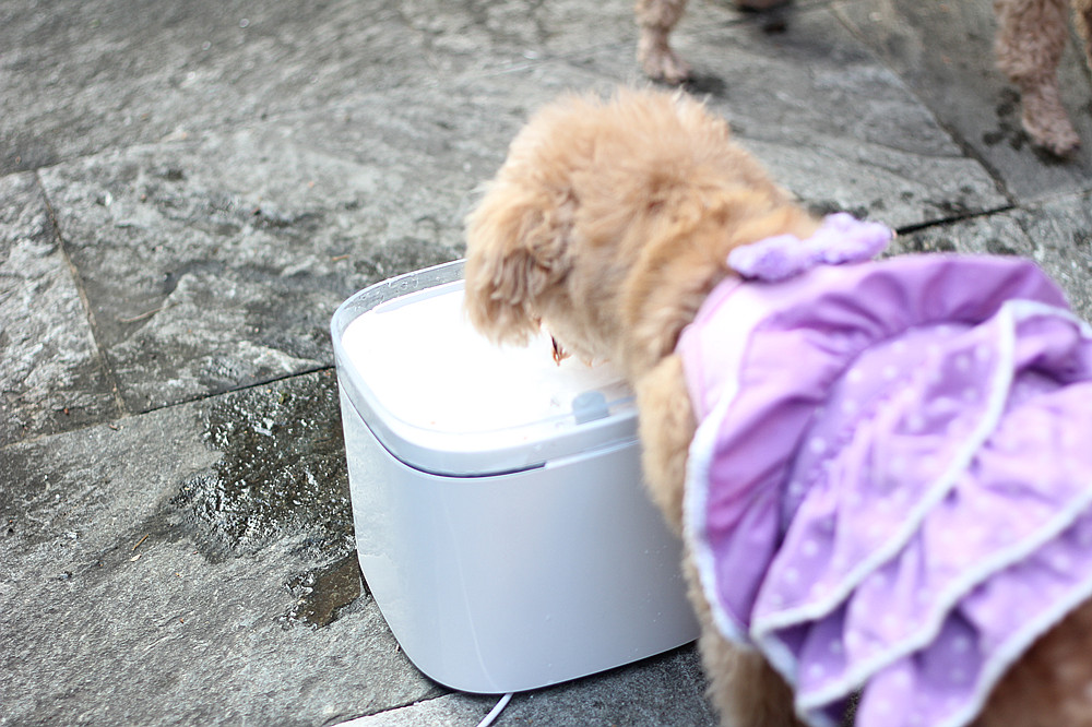 宠物饮水机大容量猫咪自动喂水器,宠物猫咪饮水机推荐