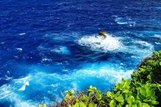 这里到底有什么特别之处,让众多明星沉迷在此?