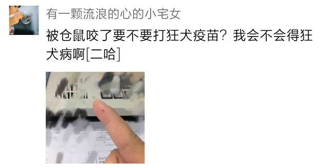 被蚂蚁咬了要去打狂犬疫苗吗,被红火蚁咬了6天可以打疫苗吗