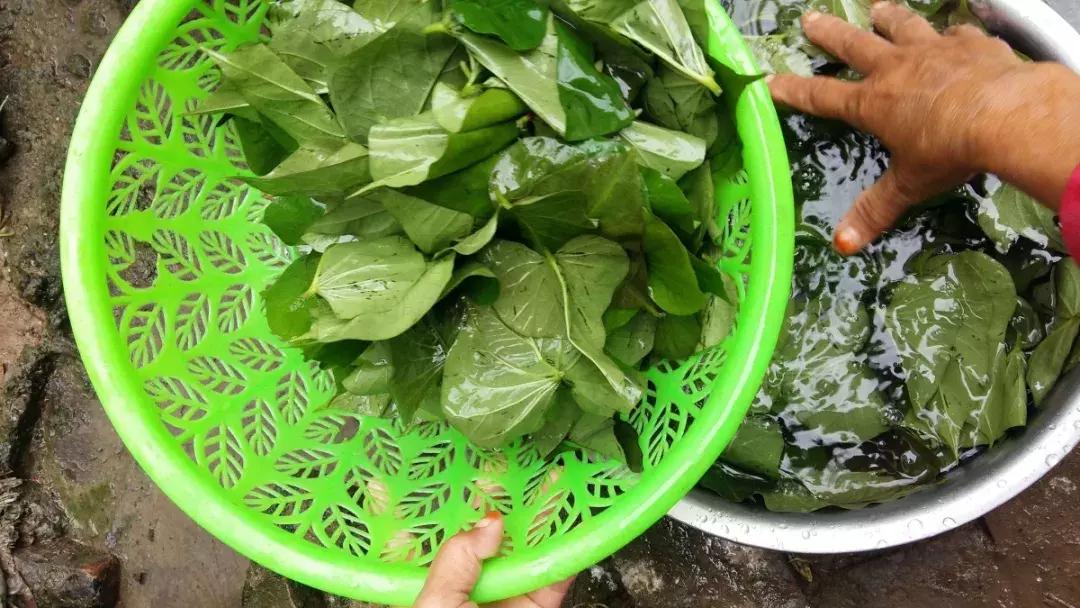 农村大集上的稀罕物120元一斤,农村3元一斤稀罕物