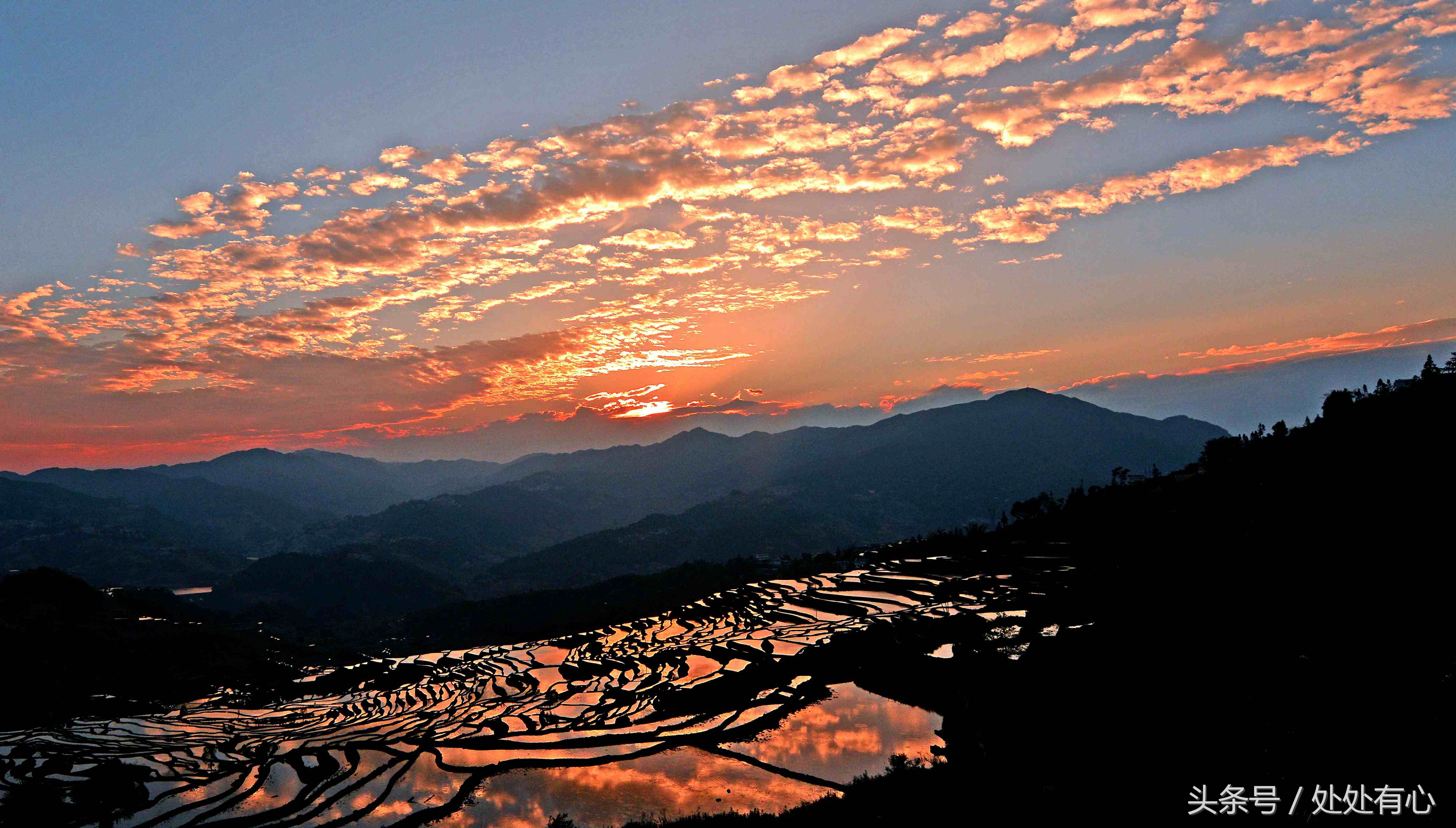 老人常说吃杂粮,老人说吃饭要吃烫的对吗