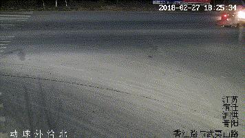 交通事故警示技巧口诀,十字路口怎么避免发生事故