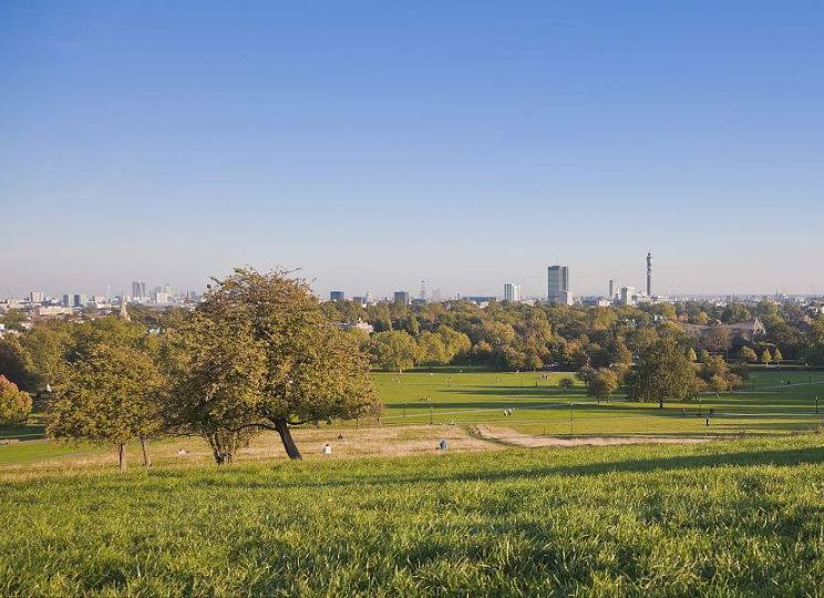 生命中就会充满阳光,生命中一旦有了某种期待