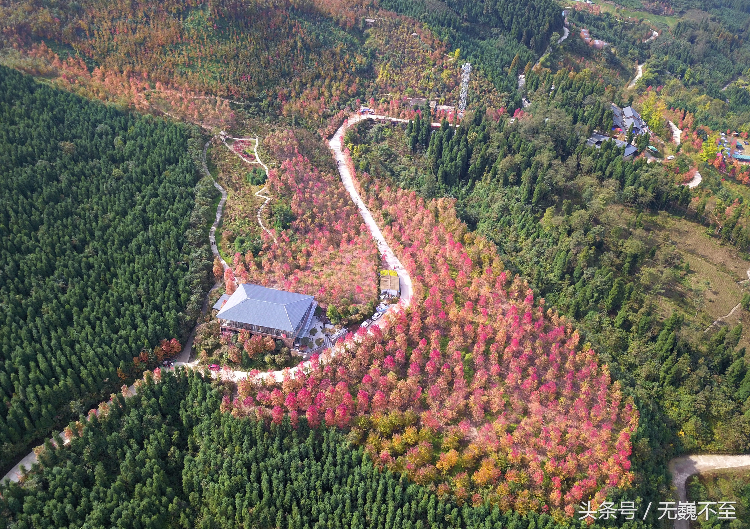 川西红枫岭赏红叶美景,成都红枫岭