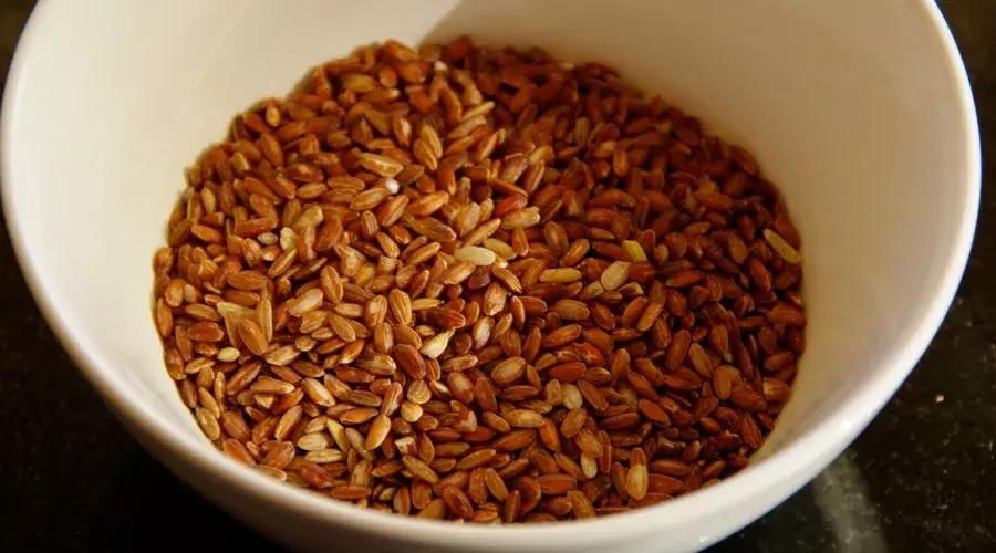 后背挤出来像小米粒怎么办,后背为啥长小米粒