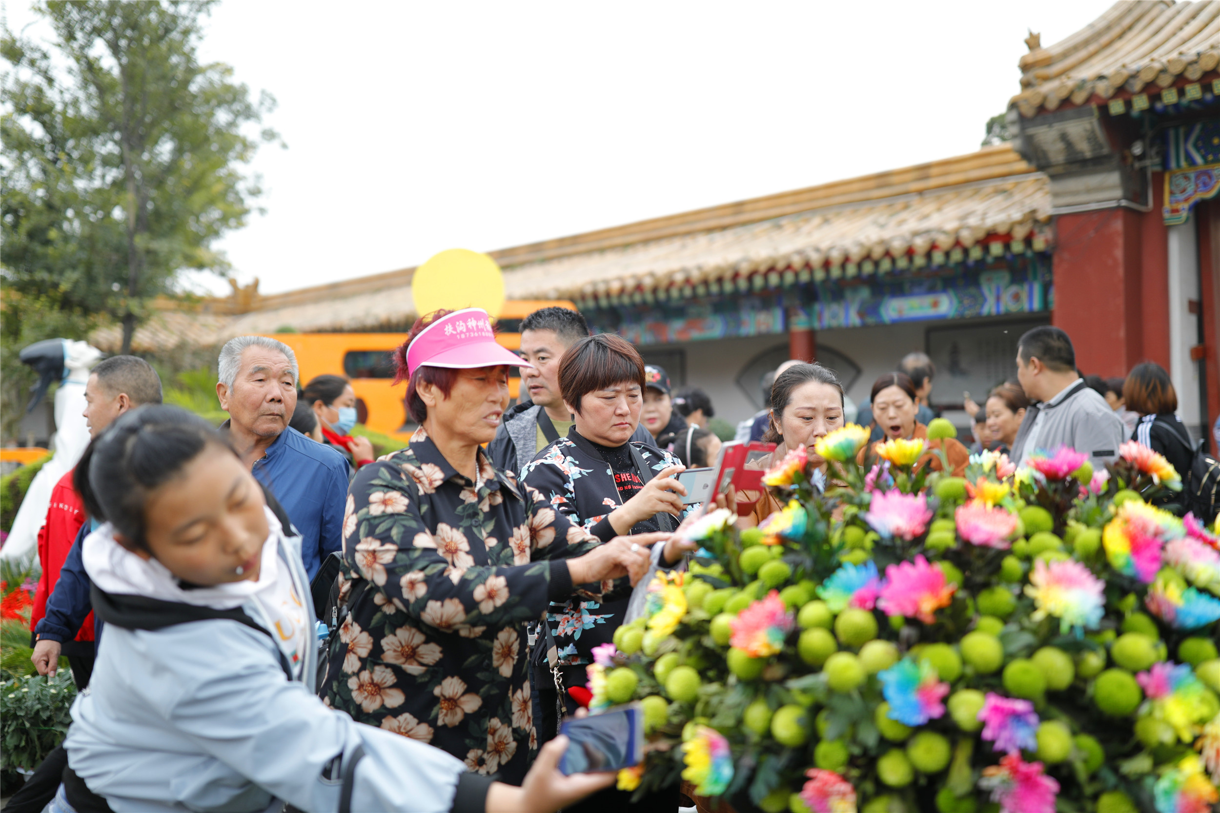 开封清明上河园龙亭两日游,自由行说走就走的旅行开封赏菊