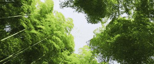 定了！上海又一条铁路获批，30min到湖州，还连接起了苏州！